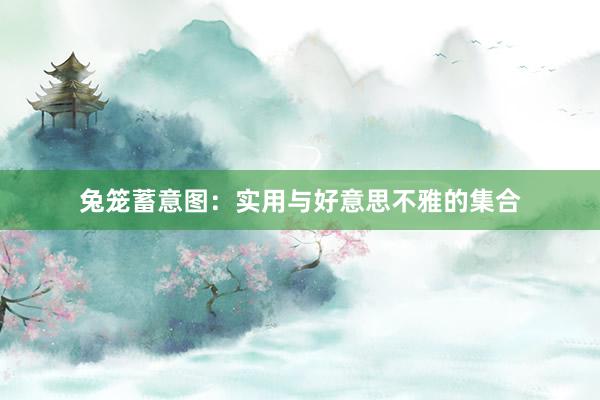 兔笼蓄意图：实用与好意思不雅的集合